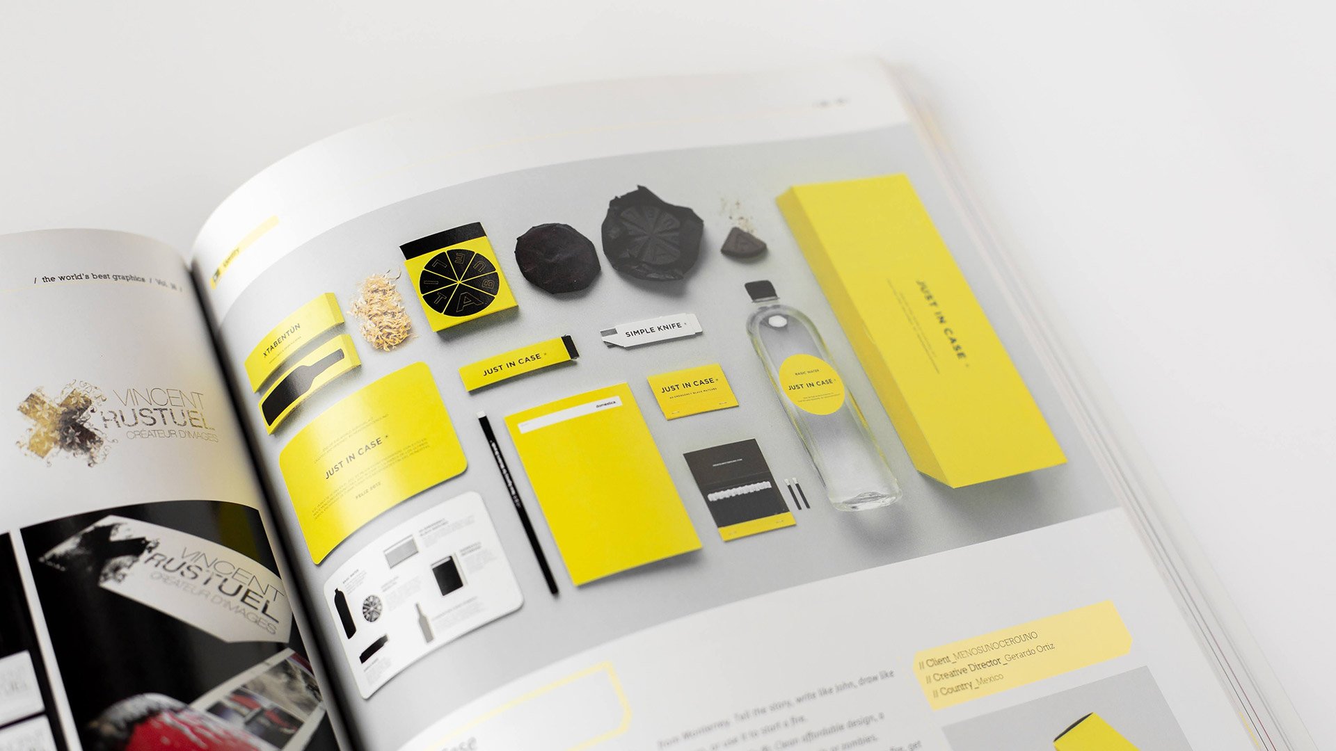 panel-strategic-visual-identity